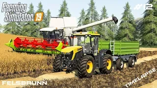 Harvesting oat,wheat and corn | Animals on Felsbrunn | Farming Simulator 19 | Episode 12