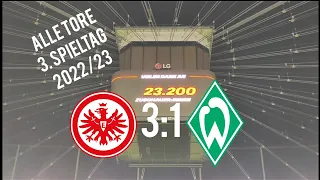 Eintracht Frankfurt - Werder Bremen 🦅Alle Tore🦅3:1 Heimsieg der #sge #pov #vlog #frauen #bundesliga