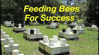 The Chemistry Behind Feeding Bees Part 1