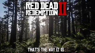 "That's The Way It Is" - Cover from Red Dead Redemption 2