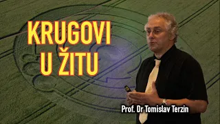 Tomislav Terzin - KRUGOVI U ŽITU