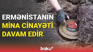 Ermənistanın mina cinayəti davam edir - BAKU TV