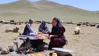 Shepherd girl Cooking Shepherd Food in the Nature | Organic Mountain Village Life in Afghanistan