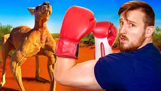 Could You Beat a Kangaroo in a Fight?