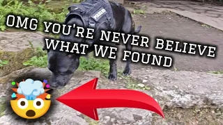 OMG YOU'RE NEVER BELIEVE WHAT WE FOUND 🤯