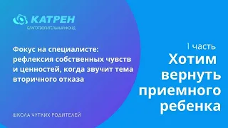 Хотим вернуть приемного ребенка  1 часть