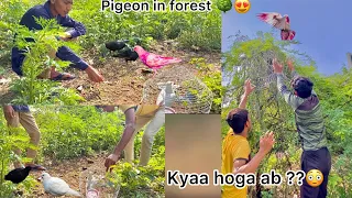 Jungal me kabutar 😍 !! White Pigeon in forest 🌳 ( first time in history) 🤑