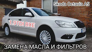 Замена масла, масленого и топливного фильтра на Skoda Octavia A5 1.9TDI PD (BXE)