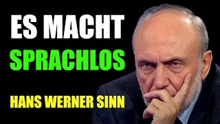 Sie gehören hinter Gitter! Hans-Werner Sinn sehr wütend!