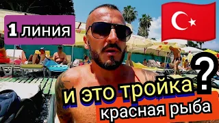 Турция 🇹🇷 Хорошее питание на первой линии/ Свой пляж Valeri Beach Hotel3 / Кемер 2023