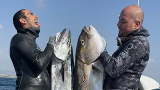 Spearfishing israel Amberjacks 30 kg CRAZY dives in the last couple of days 🤯 Enjoy !  #spearfishing