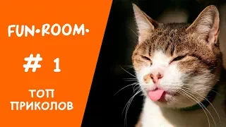 Лучшие приколы 2018 март Подборка Fan Room-1