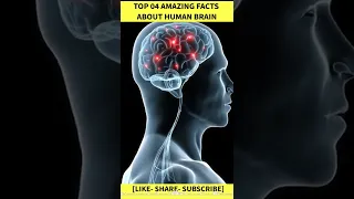 4 Interesting Facts About Human Brain In Hindi | #shorts #ytshorts #youtubeshorts #sa_fact #facts