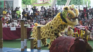 Acrobatic Lion Dance 2022