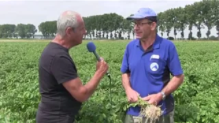 In mijn ‘Eendje’ op pad - Aardappels selecteren