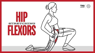 The Hip Flexor Muscles: Anatomy, Function, and Importance of Stretching