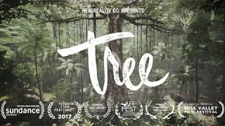 TREE | New Reality Company | VR For Impact