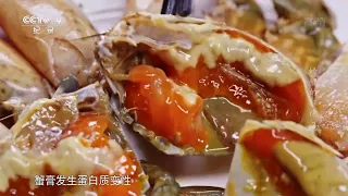 香辣生腌青蟹 一盘红膏呛蟹 潮汕“打冷之王” 一吃就无法停下来实在过瘾！《螃蟹的征途》第三集【CCTV纪录】