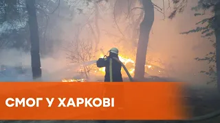 Норма перевищена в 20 разів: через пожежі на Луганщині Харків задихається від смогу