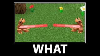 WAIT WHAT - Minecraft #1