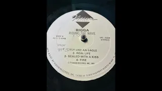 Bigga - Sealed With A Kiss - Riding The Wave - Vision Records 1991