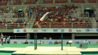 KARDOS Botond (HUN) - 2016 Olympic Test Event, Rio (BRA) - Qualifications Parallel Bars