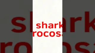 mega shark vs crocosaurus Megalodon scene