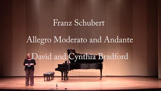 Franz Schubert Allegro Moderato and Andante