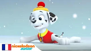 Paw Patrol : La Pat' Patrouille | A l'aide de Jake | NICKELODEON JUNIOR