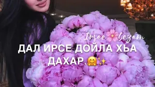 На день рождения! Дал декъал йойла хьо!❤️