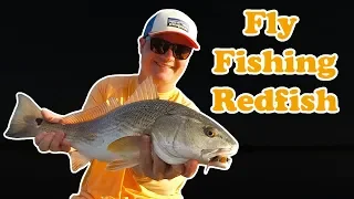 FLY FISHING REDFISH | Mosquito Lagoon, FL