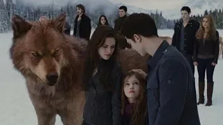 Song Serhat Durmus - La Câlin (THE TWILIGHT SAGA: BREAKING DAWN - PART 2 Trailer)