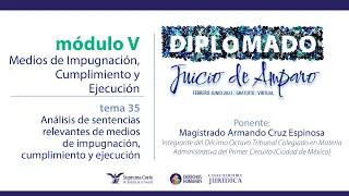 Jueves 16 de junio de 2022. Diplomado "Juicio de Amparo", edición 2022. Módulo V.