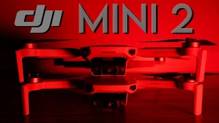 DJI Mini 2 | Review and flight test