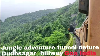 amazing jungle adventure hills tunnel greenary neture rain fog mountain water dudhsagar Goa India
