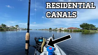 Fishing Residential Canals with DOA Shrimp (Gheenoe Fishing)