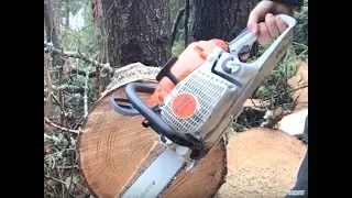 PORTED ,WALKERIZED STIHL 261 TEST CUTS, AND AXE HAFTING