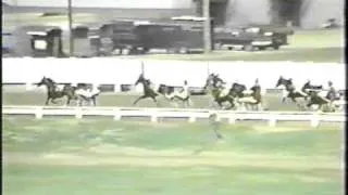 Walter Case "TRACK RECORD" Lewiston Raceway "HARNESS RACING" TROT "SCARBOROUGH DOWNS"