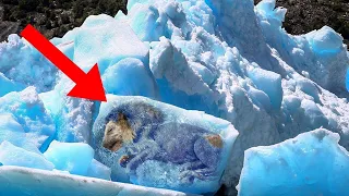 10 Craziest Discoveries Found Frozen In Ice