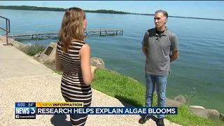 'A one-two punch of heavy rainfall followed by really hot weather': Research explains algae blooms