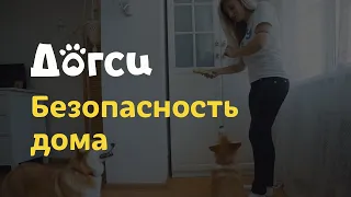 5. Инструкция догситтера Догси – Безопасность дома / dogsy.ru