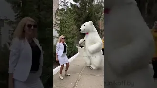 Белый медведь vs Чак Норрис