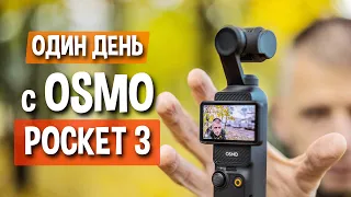 Первые впечатления от DJI Osmo Pocket 3