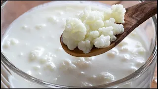 Kefir, la bevanda che fa bene