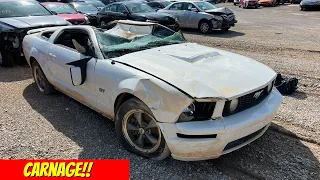 Copart Walk Around 5-10-22 + Severe Mustang GT Carnage!