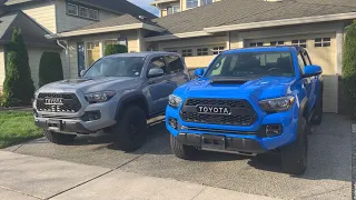 Side by Side Look at my Cement Gray and Voodoo Blue Tacoma TRD Pros!
