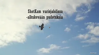 ShotKam varisjahdissa - alkukevään pudotuksia