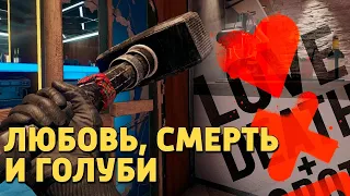 Любовь, смерть и голуби /Rainbow Six Siege