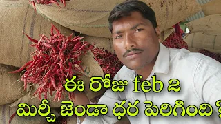 #వరంగల్ మార్కెట్ మిర్చీ జండా ధర పెరిగింది(February 2) #today Warangal Market mirchi jenda rate