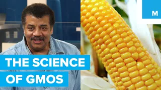 Neil deGrasse Tyson gets to the bottom of GMOs